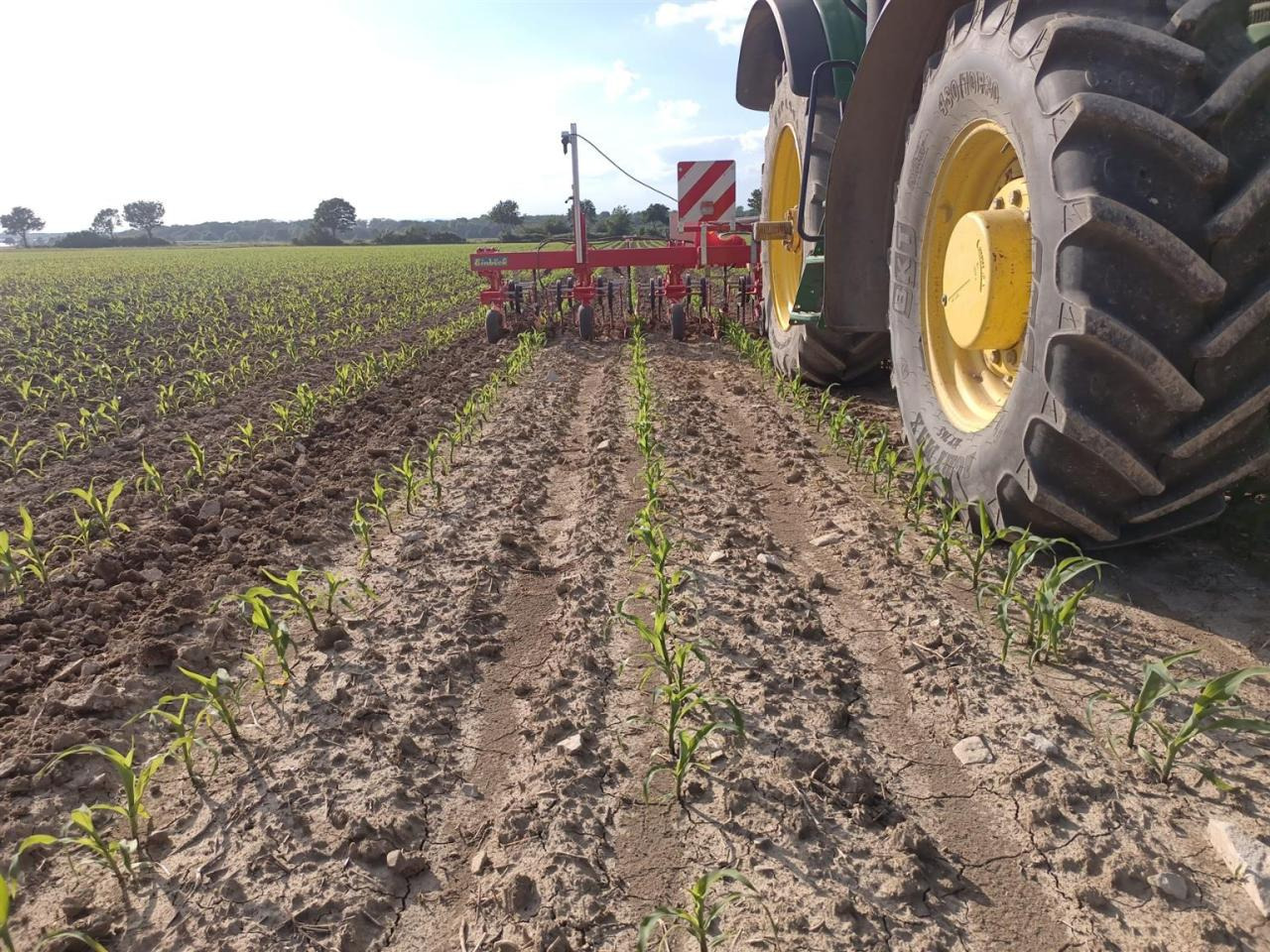 Firestone 460/85R42 480/70R30 - Dæk: billede 5 Firestone 460/85R42 480/70R30 - Dæk: billede 5