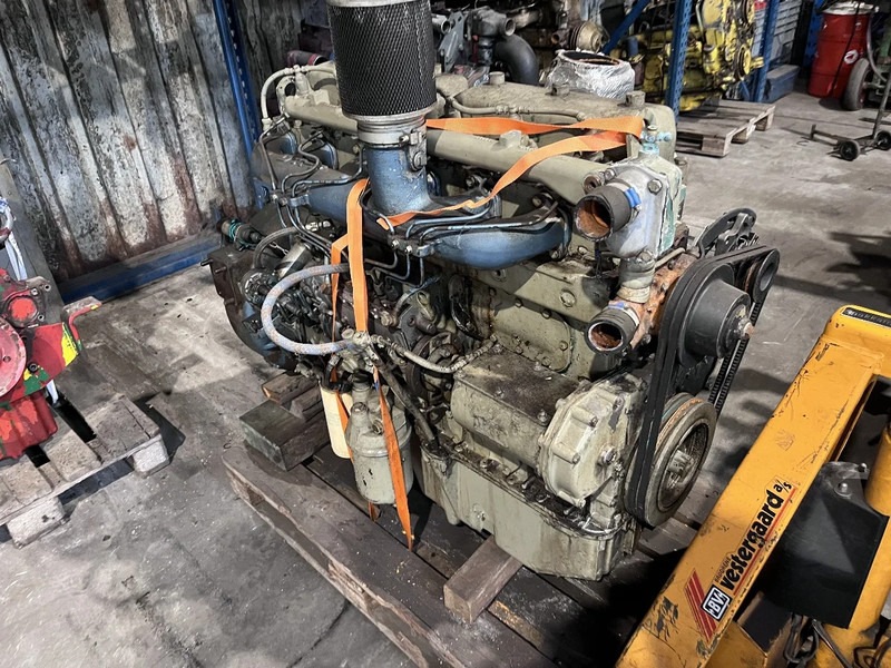 DAF DH 825 daf - MEERDERE OP VOORRAAD - Motor for Lastbil: billede 1 DAF DH 825 daf - MEERDERE OP VOORRAAD - Motor for Lastbil: billede 1