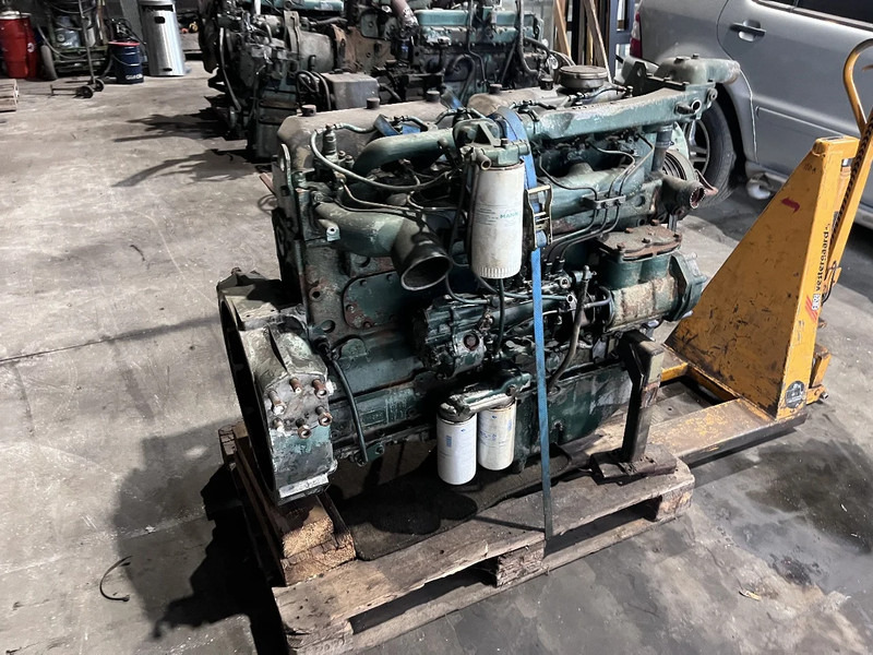 DAF DHU 825 meerdere op voorraad - Motor for Lastbil: billede 2 DAF DHU 825 meerdere op voorraad - Motor for Lastbil: billede 2