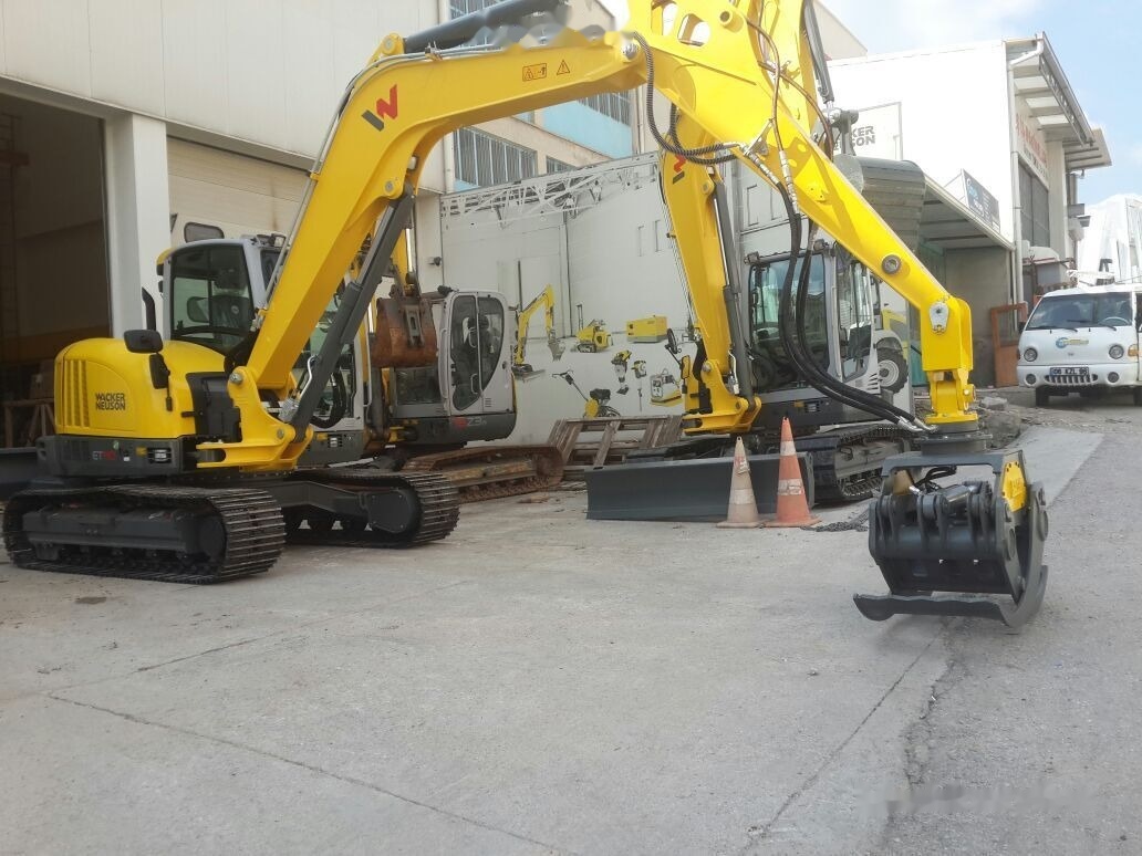 Galen Clamshell, Pollyp - Grab: billede 3 Galen Clamshell, Pollyp - Grab: billede 3