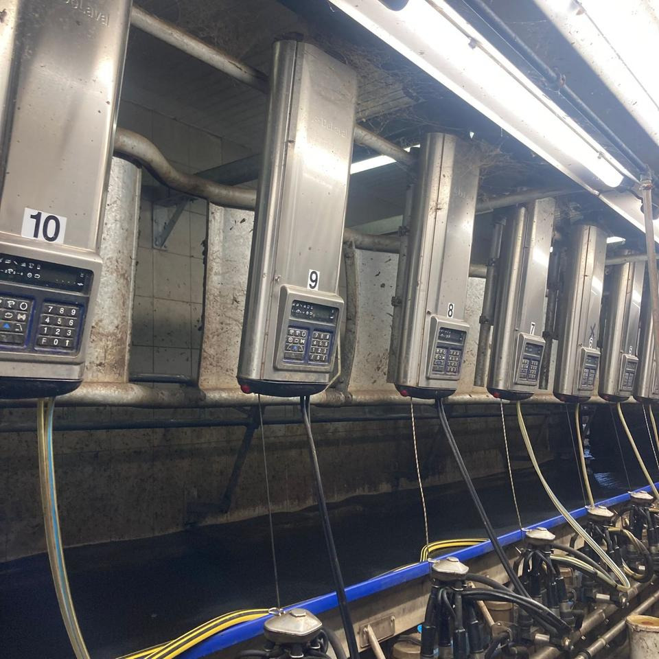 DeLaval Fischgrätenmelkstand Doppel 10er - Malkemaskine: billede 1 DeLaval Fischgrätenmelkstand Doppel 10er - Malkemaskine: billede 1