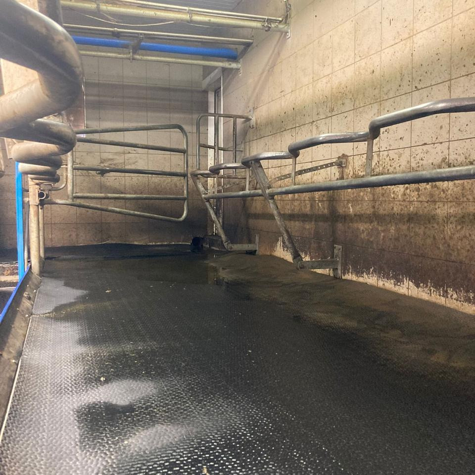 DeLaval Fischgrätenmelkstand Doppel 10er - Malkemaskine: billede 2 DeLaval Fischgrätenmelkstand Doppel 10er - Malkemaskine: billede 2