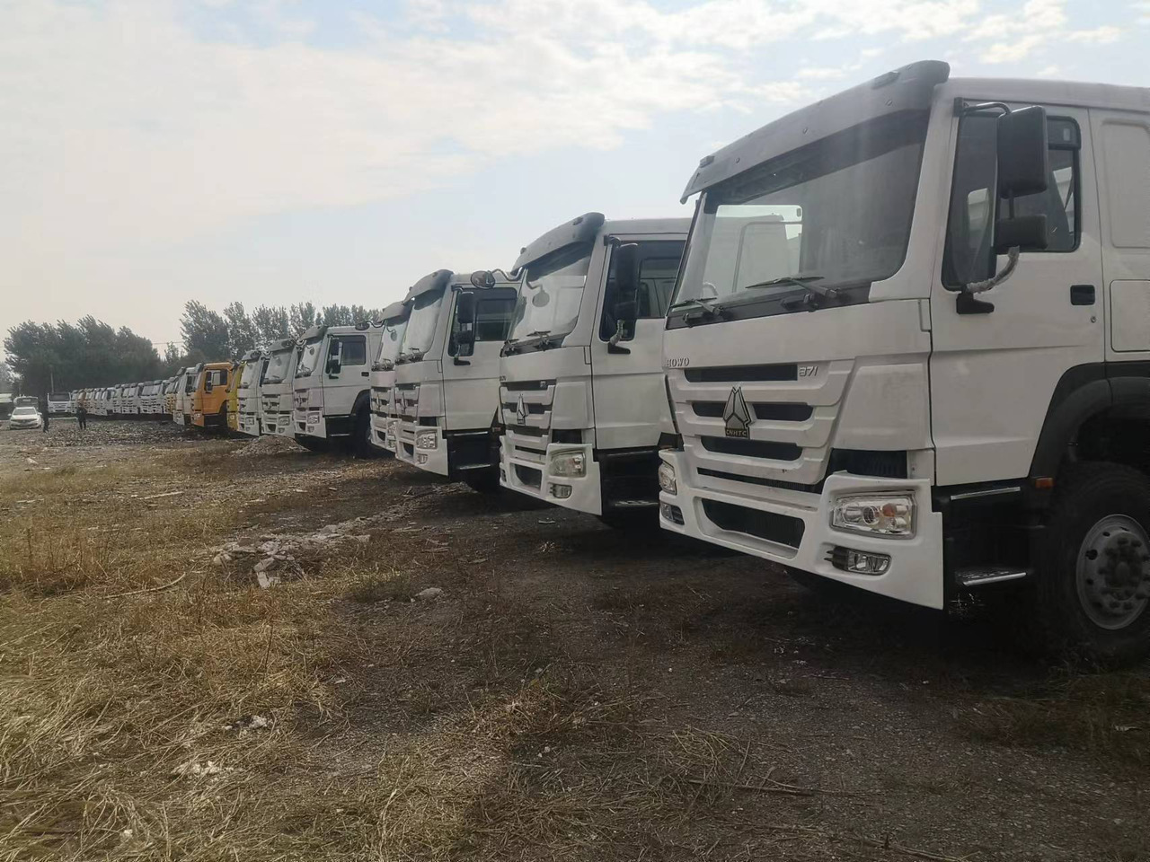 Veetransport lastbil SINOTRUK HOWO DUMP TRUCK LIVESTOCK TRUCK WITH FENCE 371 380 400 420 460 HP: billede 10