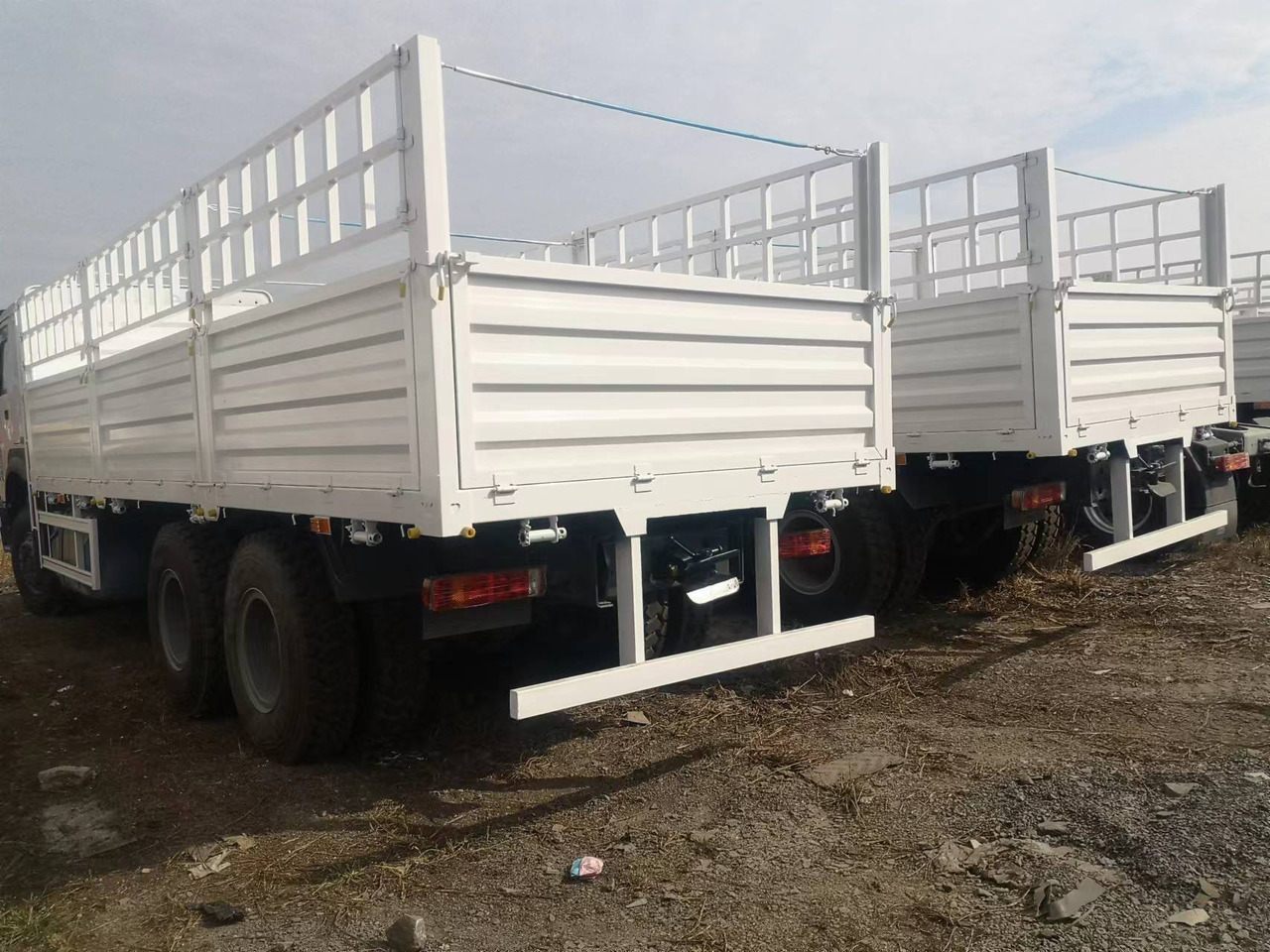 Veetransport lastbil SINOTRUK HOWO DUMP TRUCK LIVESTOCK TRUCK WITH FENCE 371 380 400 420 460 HP: billede 7