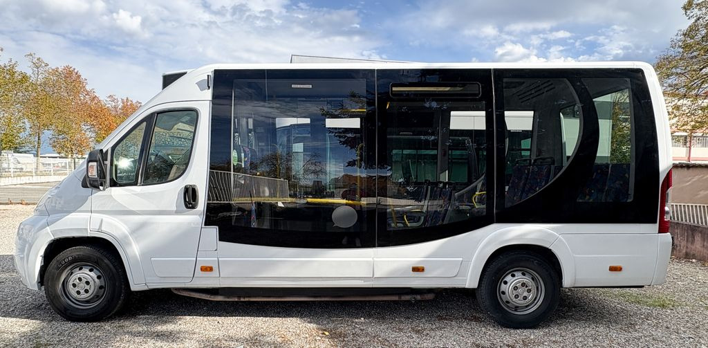 FIAT CITY 21 - Bybus: billede 3 FIAT CITY 21 - Bybus: billede 3