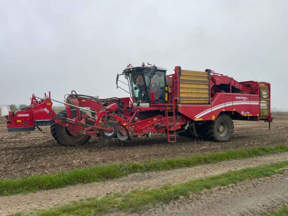 Grimme VARITRON 270 RS VARIO MULTISEP - Høstmaskine: billede 1 Grimme VARITRON 270 RS VARIO MULTISEP - Høstmaskine: billede 1