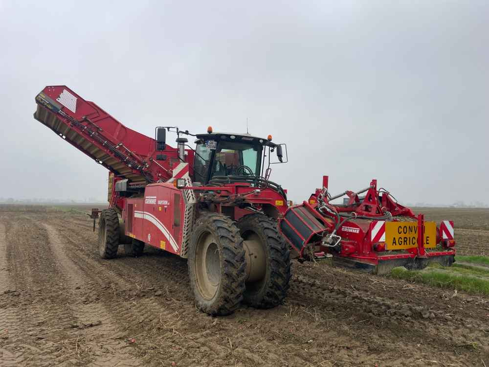 Grimme VARITRON 270 RS VARIO MULTISEP - Høstmaskine: billede 3 Grimme VARITRON 270 RS VARIO MULTISEP - Høstmaskine: billede 3