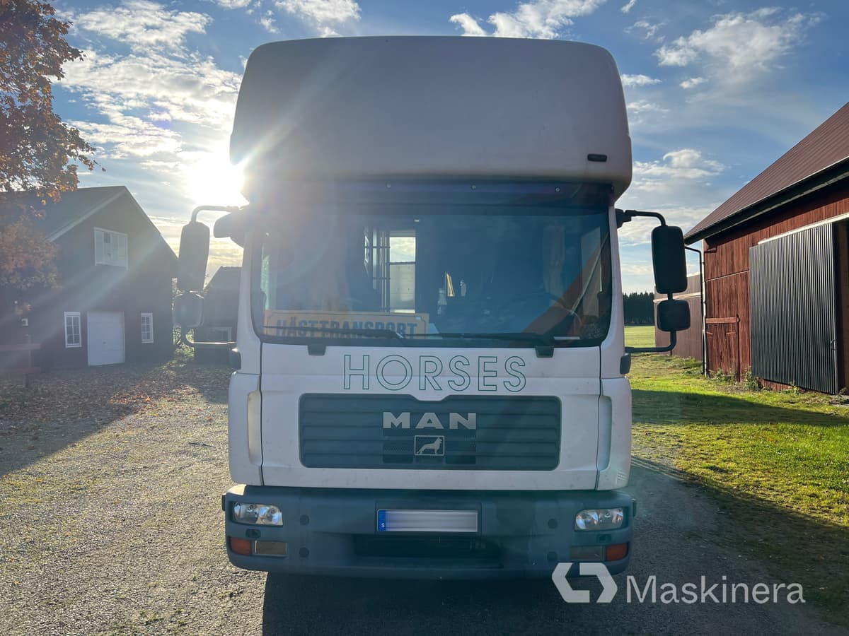 Hästlastbil MAN TGL 10.210 4X2 BL - Hestetransporter: billede 2 Hästlastbil MAN TGL 10.210 4X2 BL - Hestetransporter: billede 2