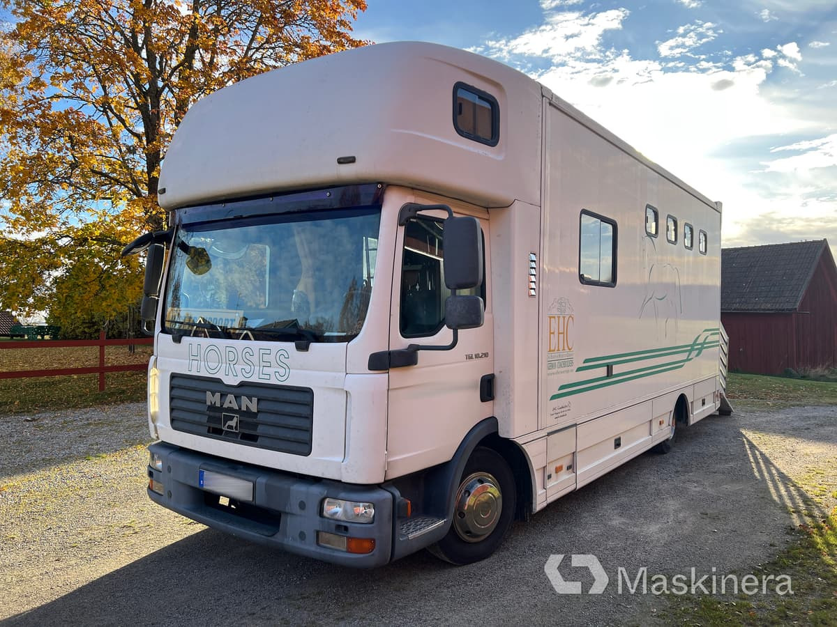 Hästlastbil MAN TGL 10.210 4X2 BL - Hestetransporter: billede 1 Hästlastbil MAN TGL 10.210 4X2 BL - Hestetransporter: billede 1