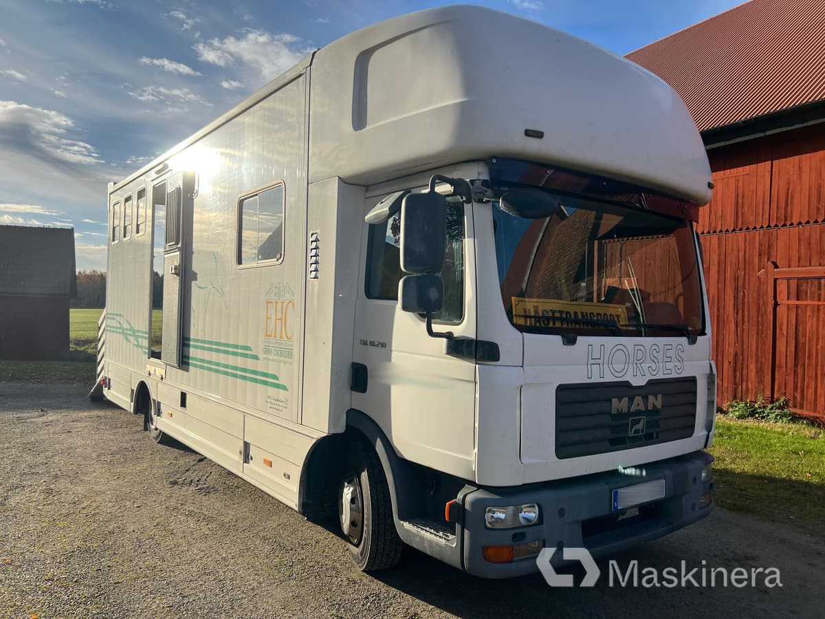 Hästlastbil MAN TGL 10.210 4X2 BL - Hestetransporter: billede 3 Hästlastbil MAN TGL 10.210 4X2 BL - Hestetransporter: billede 3