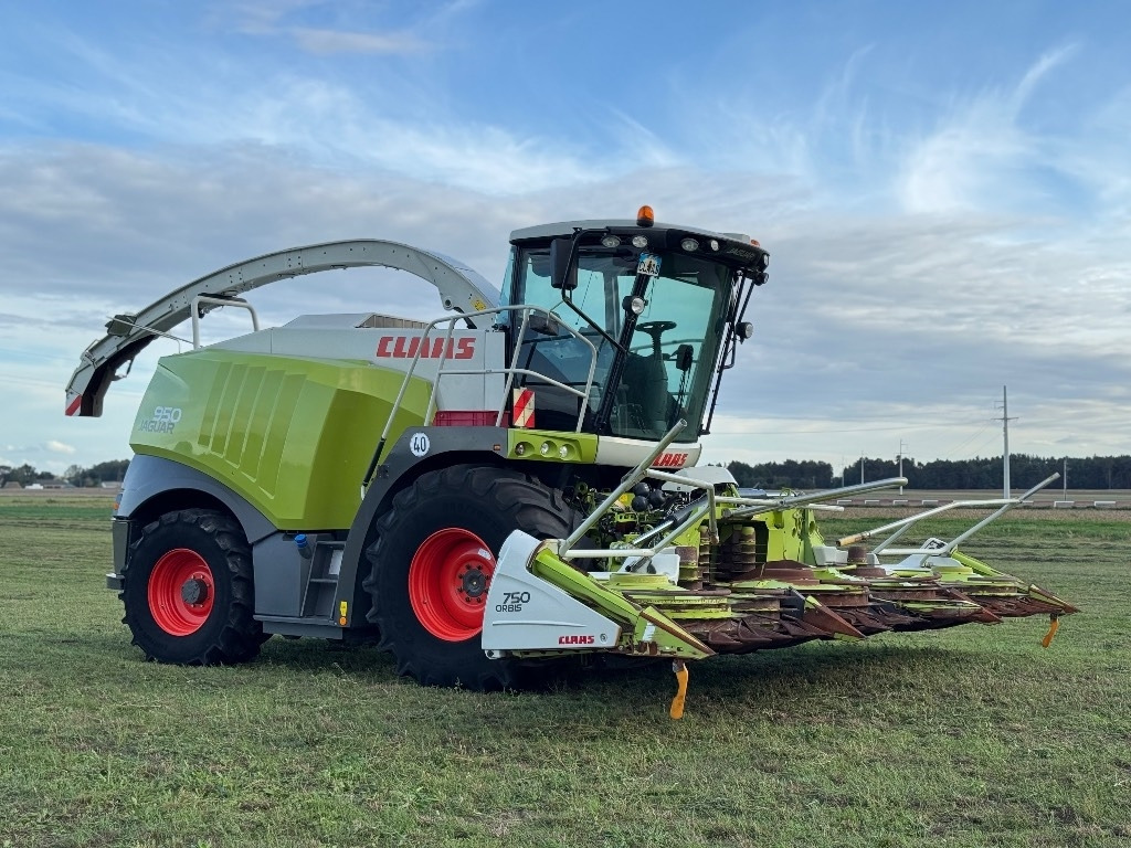 Claas Jaguar 950 Allrad + Claas Orbis 750 - Grønthøster: billede 4 Claas Jaguar 950 Allrad + Claas Orbis 750 - Grønthøster: billede 4