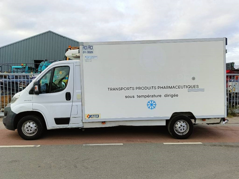 Fiat Ducato koelwagen klege auto -20 - Kølebil: billede 2 Fiat Ducato koelwagen klege auto -20 - Kølebil: billede 2