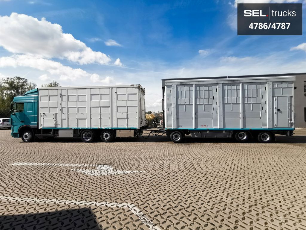 DAF XF 105.460 / Intarder / 4 Stock / KOMPLETT ! DAF XF 105.460 / Intarder / 4 Stock / KOMPLETT ! - Veetransport lastbil: billede 1 DAF XF 105.460 / Intarder / 4 Stock / KOMPLETT ! DAF XF 105.460 / Intarder / 4 Stock / KOMPLETT ! - Veetransport lastbil: billede 1