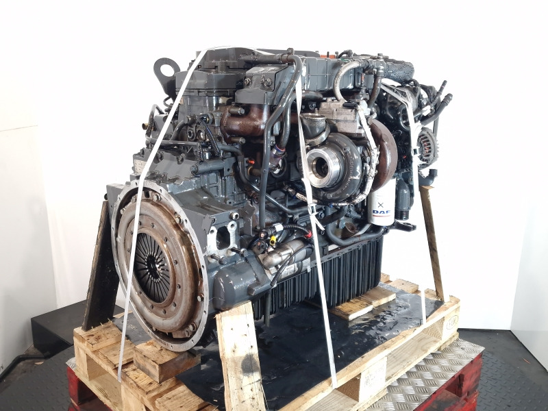 DAF PX-7 164 H1 Engine (Truck) - Motor for Lastbil: billede 1 DAF PX-7 164 H1 Engine (Truck) - Motor for Lastbil: billede 1