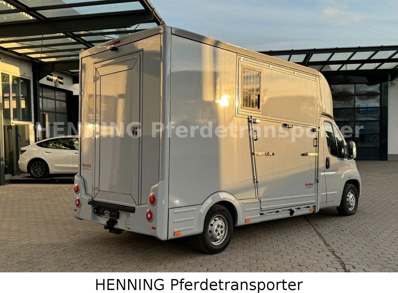 Citroën Jumper 3 - Sitzer - Veetransport lastbil: billede 3 Citroën Jumper 3 - Sitzer - Veetransport lastbil: billede 3