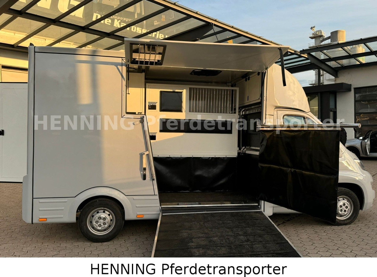 Citroën Jumper 3 - Sitzer - Veetransport lastbil: billede 4 Citroën Jumper 3 - Sitzer - Veetransport lastbil: billede 4