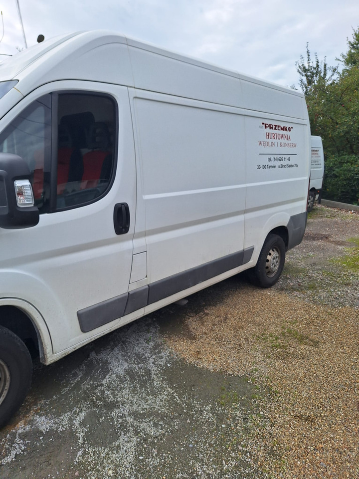 FIAT DUCATO L2H2 CHLODNIA CARRIER KLIMA EURO5 - Kølebil: billede 3 FIAT DUCATO L2H2 CHLODNIA CARRIER KLIMA EURO5 - Kølebil: billede 3