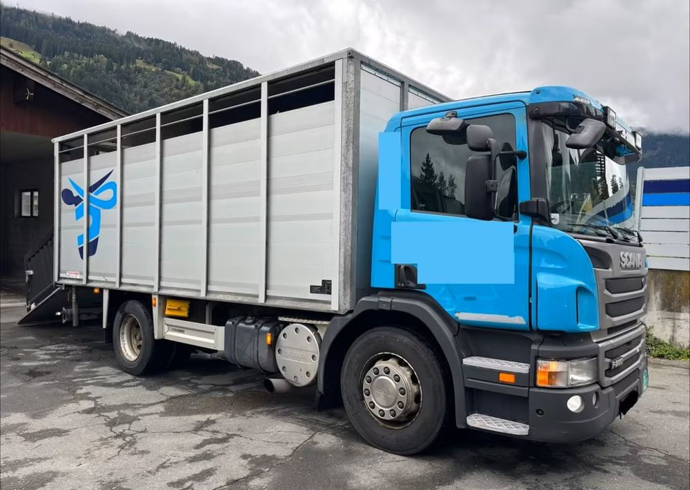 Scania P280 4x2 – Pojazd do przewozu zwierząt VIEHFAHRZEUG / jednopoziomowy – 171.000 km!! – Euro 5 - Veetransport lastbil: billede 2 Scania P280 4x2 – Pojazd do przewozu zwierząt VIEHFAHRZEUG / jednopoziomowy – 171.000 km!! – Euro 5 - Veetransport lastbil: billede 2