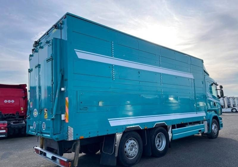 Scania R380 / 6x2 / Pezzaioli / 2-poziomowa zabudowa do przewozu zwierząt / Euro 3 / oś podnoszona / podnoszony dach - Veetransport lastbil: billede 2 Scania R380 / 6x2 / Pezzaioli / 2-poziomowa zabudowa do przewozu zwierząt / Euro 3 / oś podnoszona / podnoszony dach - Veetransport lastbil: billede 2