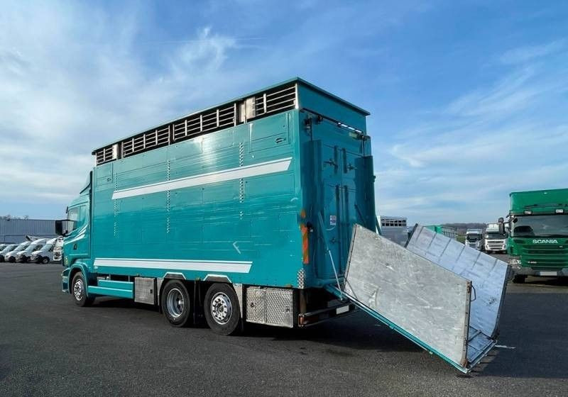 Scania R380 / 6x2 / Pezzaioli / 2-poziomowa zabudowa do przewozu zwierząt / Euro 3 / oś podnoszona / podnoszony dach - Veetransport lastbil: billede 3 Scania R380 / 6x2 / Pezzaioli / 2-poziomowa zabudowa do przewozu zwierząt / Euro 3 / oś podnoszona / podnoszony dach - Veetransport lastbil: billede 3
