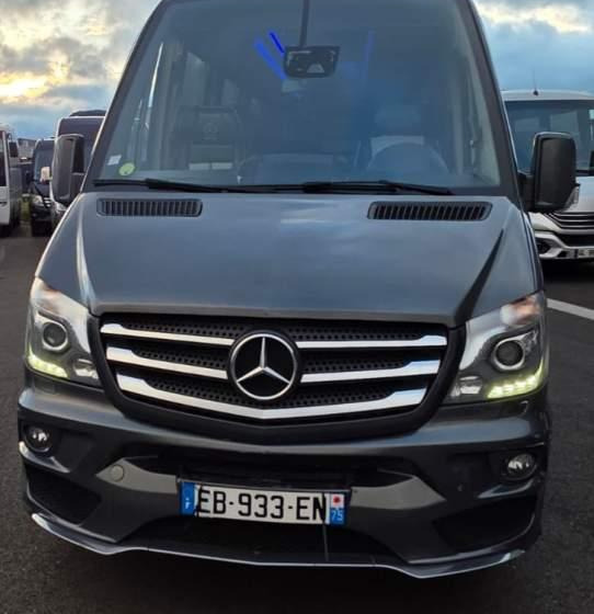 Mercedes-Benz SPRINTER 516 BLUETEC / SPROWADZONY / 86 000 KM - Minibus, Persontransport: billede 2 Mercedes-Benz SPRINTER 516 BLUETEC / SPROWADZONY / 86 000 KM - Minibus, Persontransport: billede 2