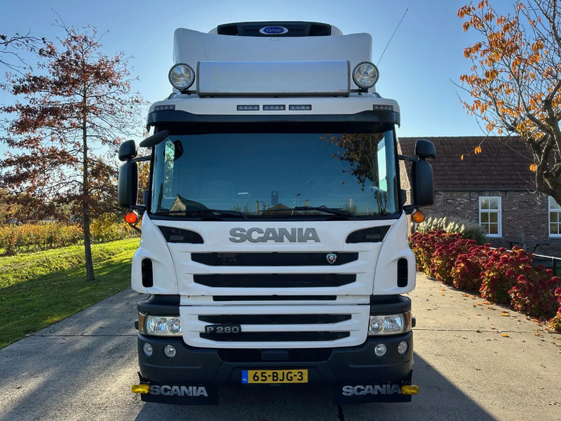 Scania P280 / NL TRUCK / EURO 6 / FULL AIR / CARRIER SUPRA 1250 / TOPCONDITION / LIFT+DOORS - Kølevogn lastbil: billede 2 Scania P280 / NL TRUCK / EURO 6 / FULL AIR / CARRIER SUPRA 1250 / TOPCONDITION / LIFT+DOORS - Kølevogn lastbil: billede 2