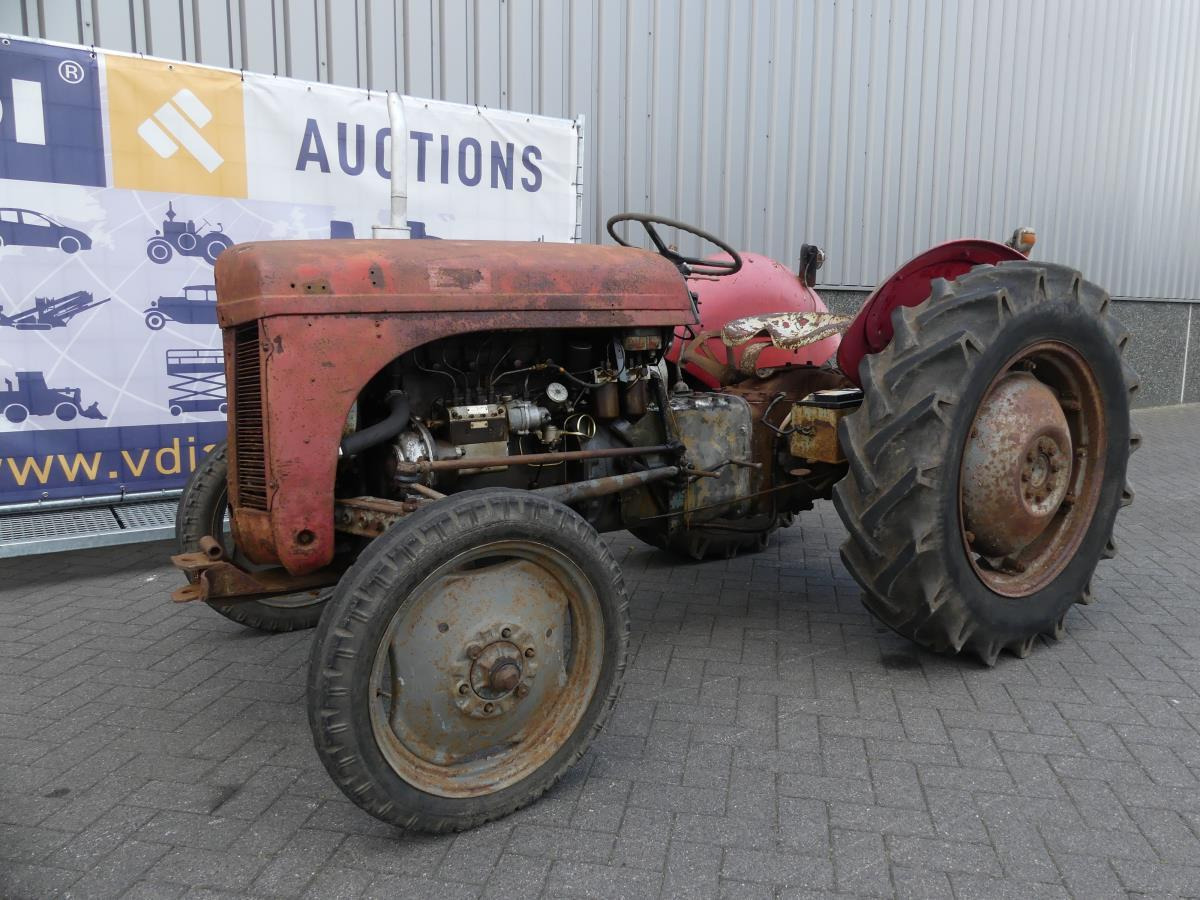 Ferguson TED - Traktor: billede 3 Ferguson TED - Traktor: billede 3