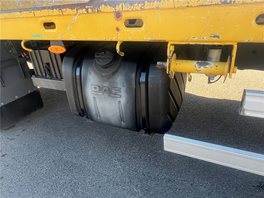 Lastbil med lad DAF LF 310: billede 7