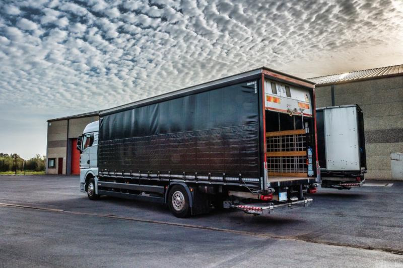 MAN TGX 18.400 XLX+HAYON - Lastbil med presenning: billede 4 MAN TGX 18.400 XLX+HAYON - Lastbil med presenning: billede 4