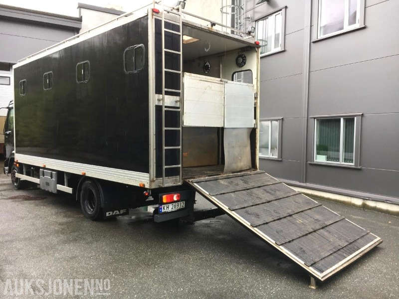 2004 DAF LF 45.220 - Hestebil / Transportbil, 202552km - Utility/ Speciel maskine: billede 2 2004 DAF LF 45.220 - Hestebil / Transportbil, 202552km - Utility/ Speciel maskine: billede 2