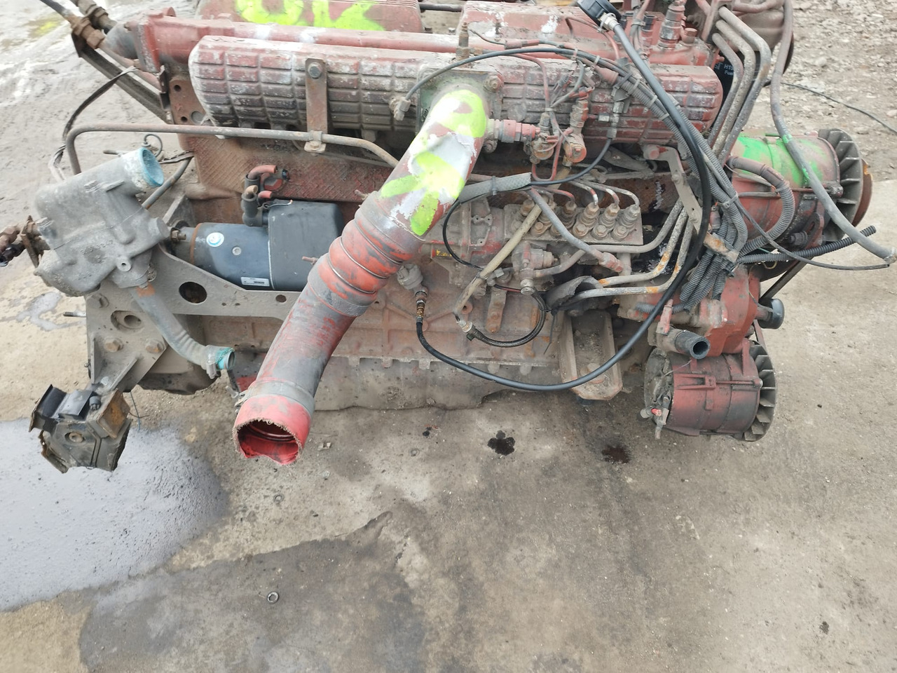 IVECO 8460.41M.70 IVECO MAGIRUS, FIAT, UNIC - Motor for Bus: billede 2 IVECO 8460.41M.70 IVECO MAGIRUS, FIAT, UNIC - Motor for Bus: billede 2
