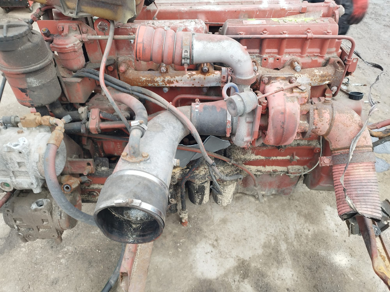IVECO 8460.41M.70 IVECO MAGIRUS, FIAT, UNIC - Motor for Bus: billede 3 IVECO 8460.41M.70 IVECO MAGIRUS, FIAT, UNIC - Motor for Bus: billede 3