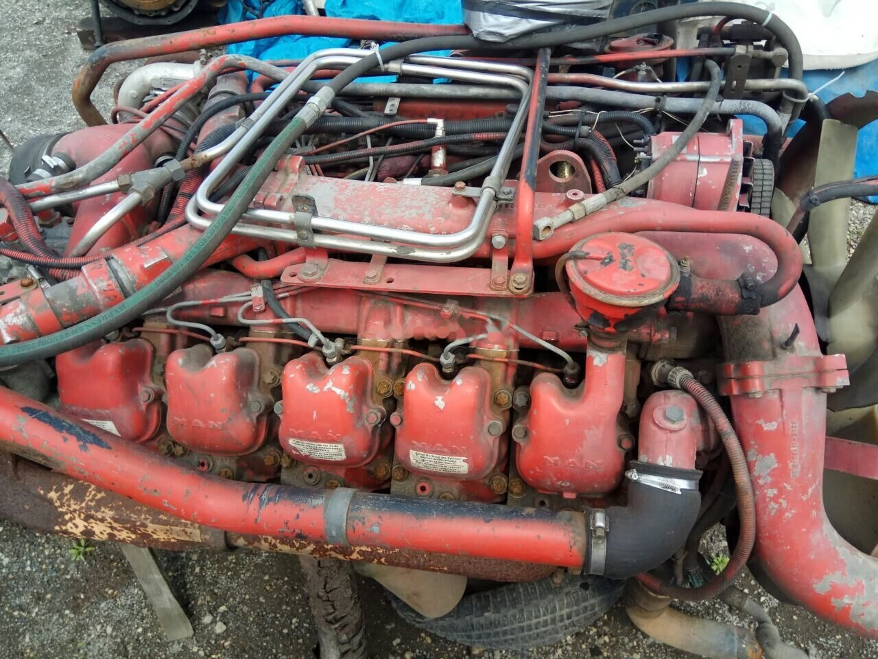 MAN D2840 LF01 MAN F 2000 - Motor for Lastbil: billede 1 MAN D2840 LF01 MAN F 2000 - Motor for Lastbil: billede 1