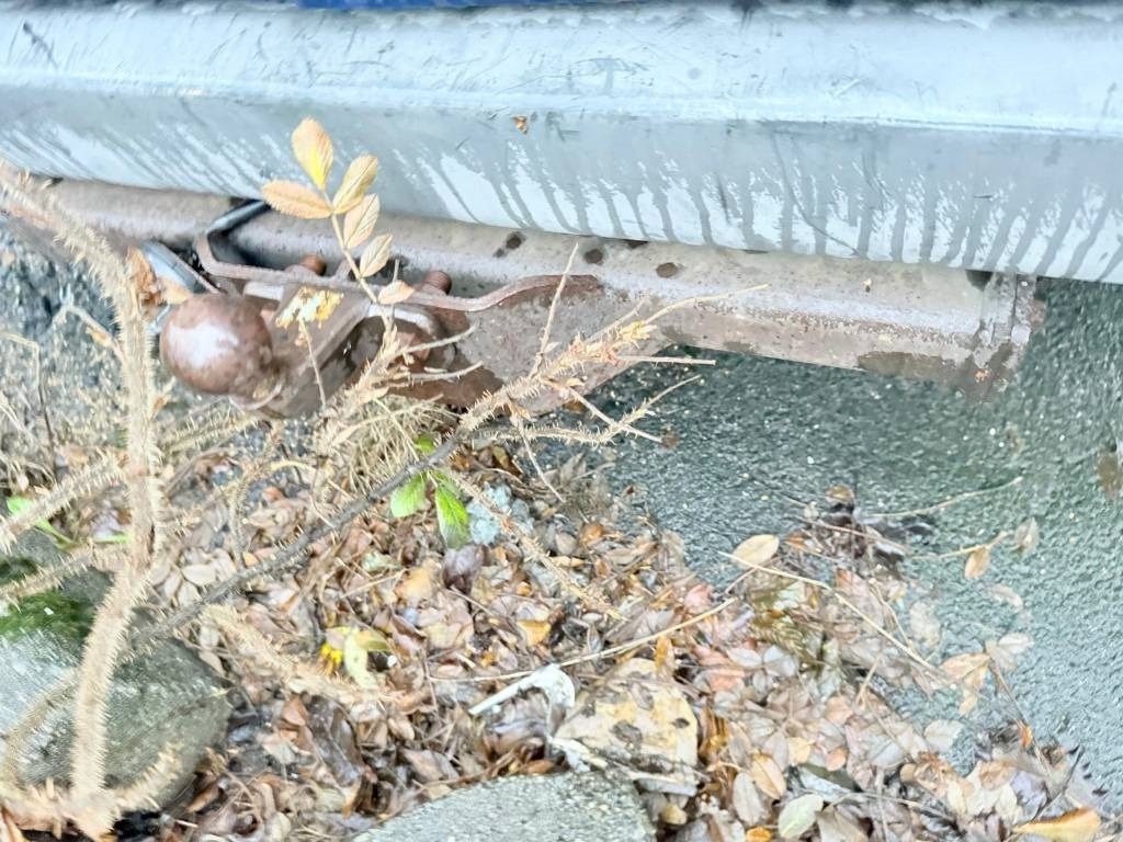 Varevogn Ford Transit: billede 14