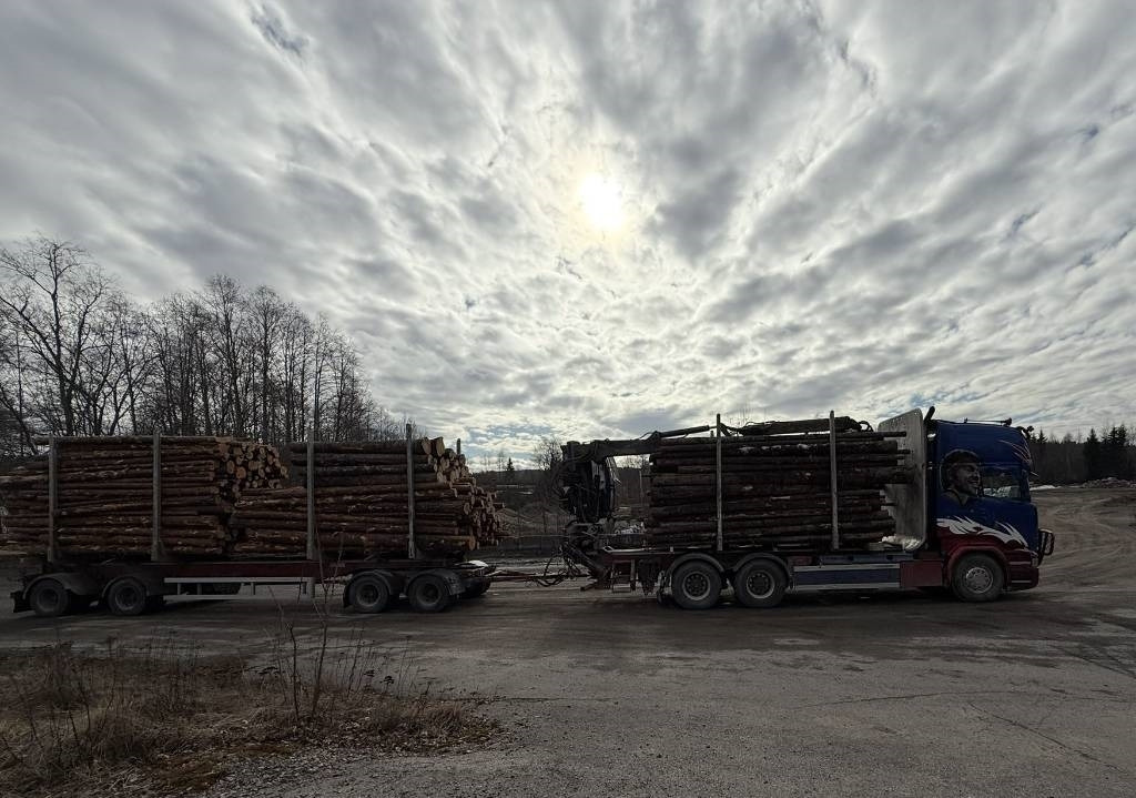 Scania R 730 6x4 Jonsered J1088S - Tømmerbil: billede 4 Scania R 730 6x4 Jonsered J1088S - Tømmerbil: billede 4