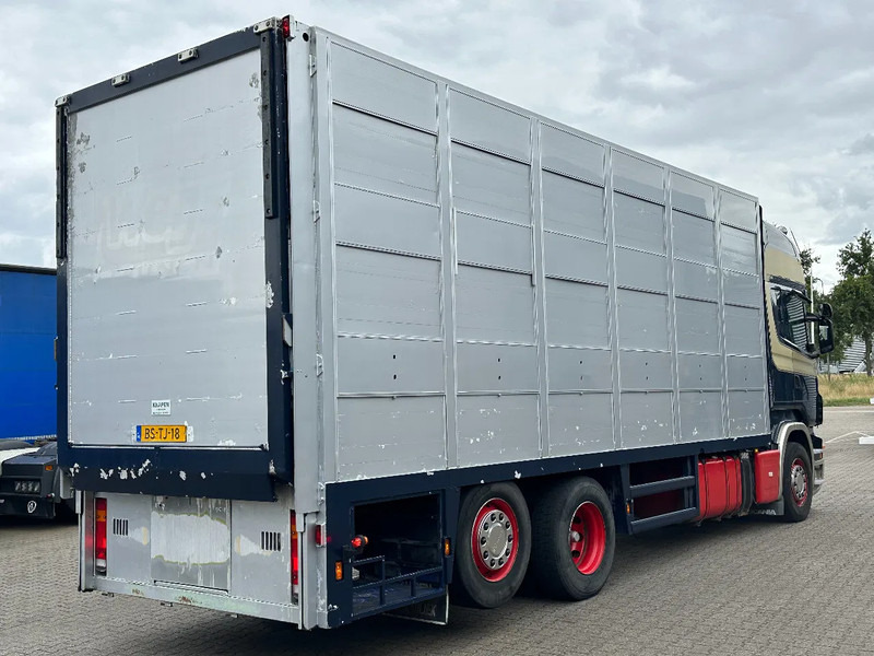 Scania R420 6x2 Topline / 3 Stock Animal Transport / Retarder / Euro 5 - Veetransport lastbil: billede 3 Scania R420 6x2 Topline / 3 Stock Animal Transport / Retarder / Euro 5 - Veetransport lastbil: billede 3