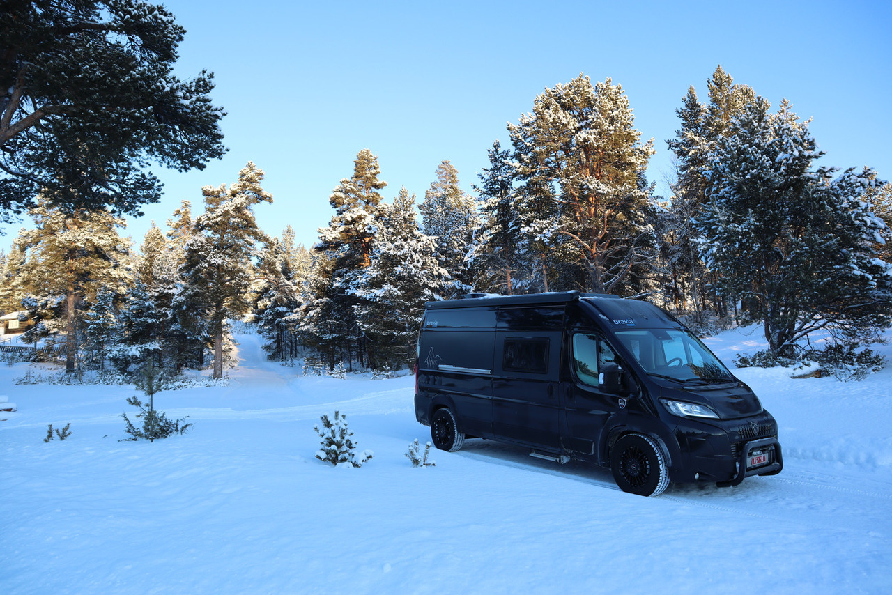 Bravia Swan 599 Nordic - Camper van: billede 1 Bravia Swan 599 Nordic - Camper van: billede 1