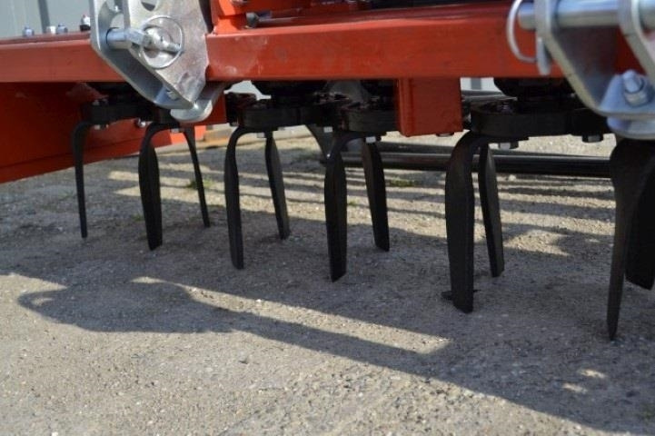 - - - boxer - Harve: billede 4 - - - boxer - Harve: billede 4