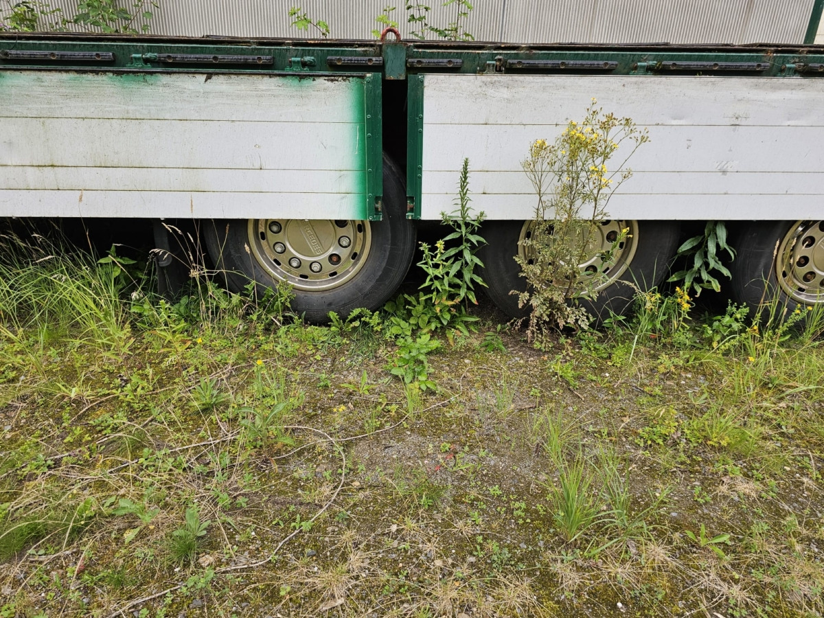 SCHMIDT-Hagen SPC/38/E/13,6 - Landbrugsvogn: billede 5 SCHMIDT-Hagen SPC/38/E/13,6 - Landbrugsvogn: billede 5