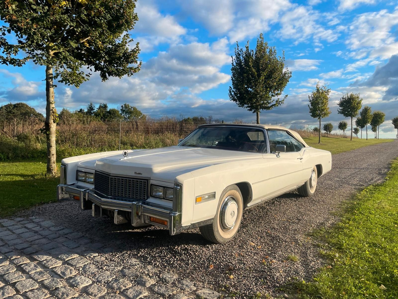 Cadillac Eldorado Convertible - Cabriolet: billede 1 Cadillac Eldorado Convertible - Cabriolet: billede 1