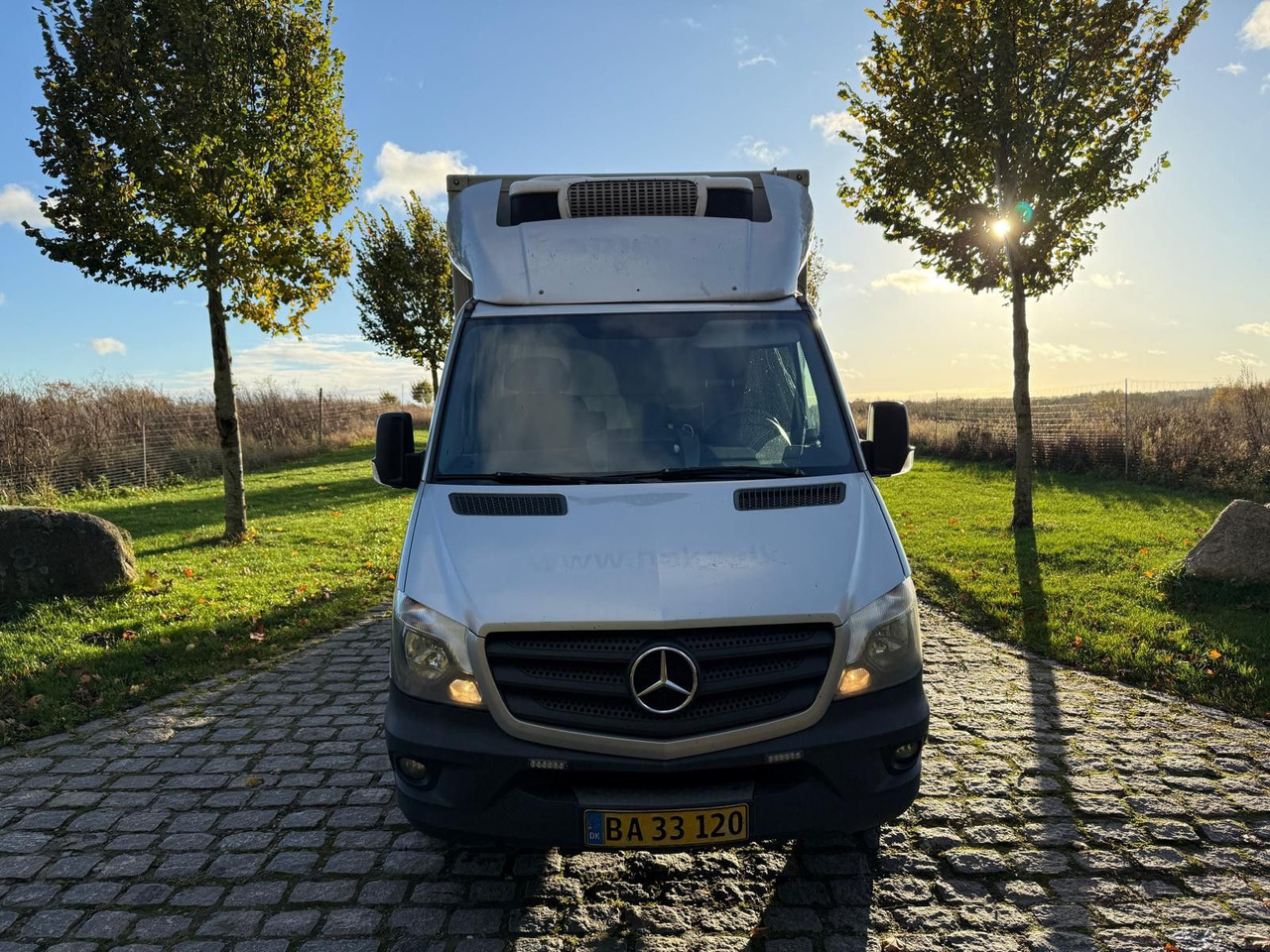 Mercedes-Benz Sprinter II 316 CDI Aut. Refigerator BOX +Lift - Kølebil: billede 4 Mercedes-Benz Sprinter II 316 CDI Aut. Refigerator BOX +Lift - Kølebil: billede 4