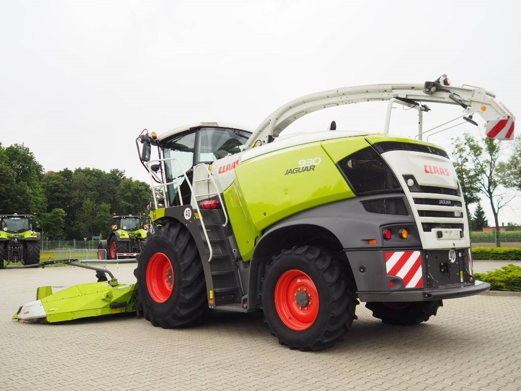 Claas Jaguar 930 + Orbis 600 SD  - Grønthøster: billede 2 Claas Jaguar 930 + Orbis 600 SD  - Grønthøster: billede 2