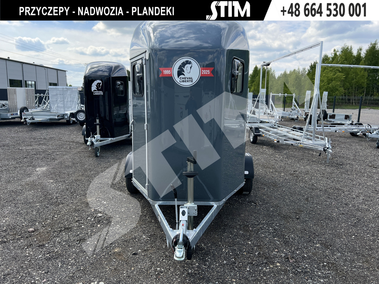 Cheval Liberté GOLD ORIGINS PODŁOGA ALU, BOKI SKLEJKA PPL - Hestetrailer: billede 1 Cheval Liberté GOLD ORIGINS PODŁOGA ALU, BOKI SKLEJKA PPL - Hestetrailer: billede 1