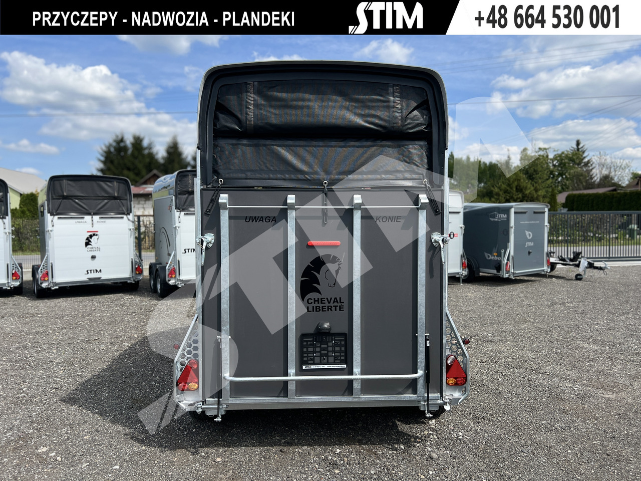 Cheval Liberté GOLD ORIGINS PODŁOGA ALU, BOKI SKLEJKA PPL - Hestetrailer: billede 5 Cheval Liberté GOLD ORIGINS PODŁOGA ALU, BOKI SKLEJKA PPL - Hestetrailer: billede 5