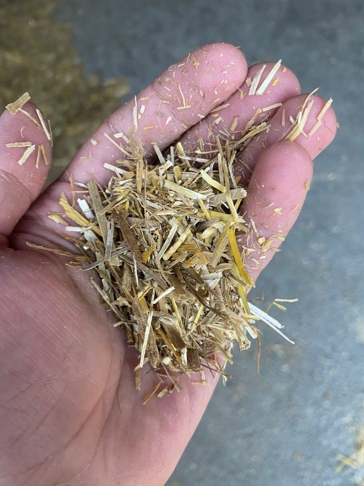 Bizon B-1130 Professional Straw and Biomass Shredder/Gri - Halmopriver: billede 4 Bizon B-1130 Professional Straw and Biomass Shredder/Gri - Halmopriver: billede 4