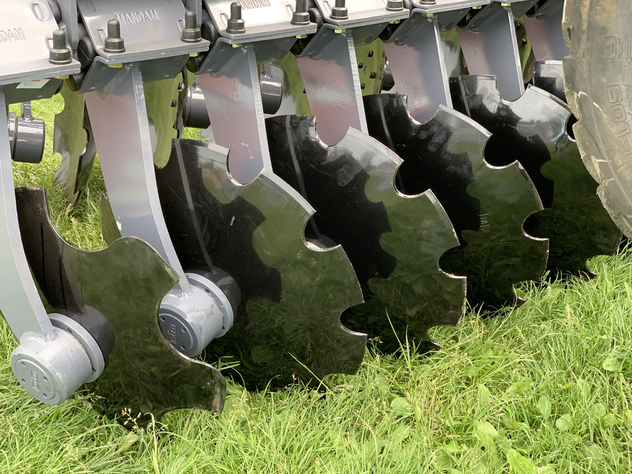 MANDAM Déchaumeur à disques GAL-TAL - Tallerkenharve: billede 2 MANDAM Déchaumeur à disques GAL-TAL - Tallerkenharve: billede 2