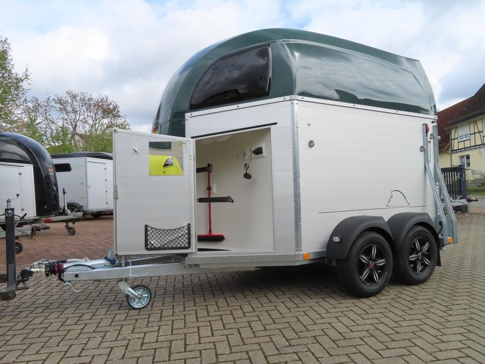 Böckmann Pferdeanhänger Champion R Flügeltür Saka. 100km/h - Hestetrailer: billede 5 Böckmann Pferdeanhänger Champion R Flügeltür Saka. 100km/h - Hestetrailer: billede 5