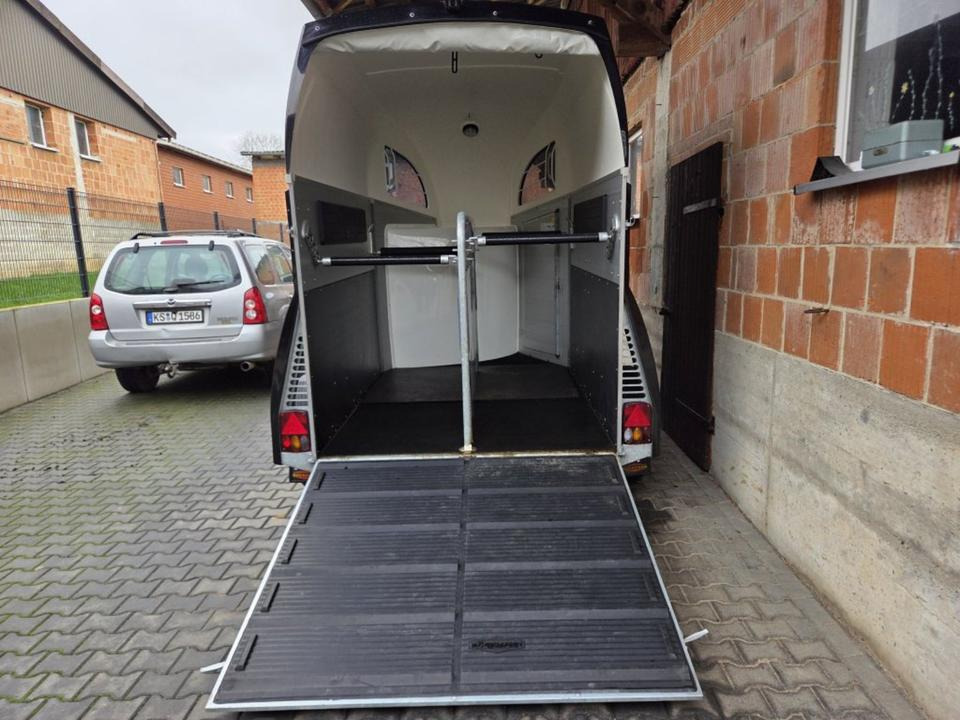 Böckmann Pferdeanhänger Champion R SaKa. WCF-Fahrwerk 100 km/h - Hestetrailer: billede 4 Böckmann Pferdeanhänger Champion R SaKa. WCF-Fahrwerk 100 km/h - Hestetrailer: billede 4