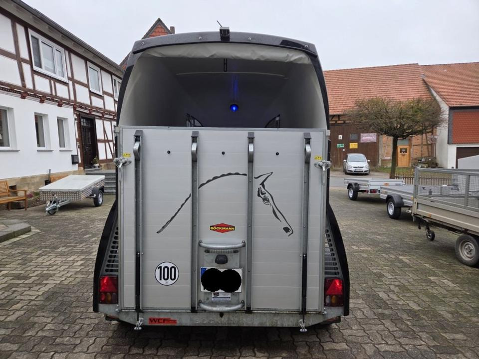 Böckmann Pferdeanhänger Champion R SaKa. WCF-Fahrwerk 100 km/h - Hestetrailer: billede 3 Böckmann Pferdeanhänger Champion R SaKa. WCF-Fahrwerk 100 km/h - Hestetrailer: billede 3