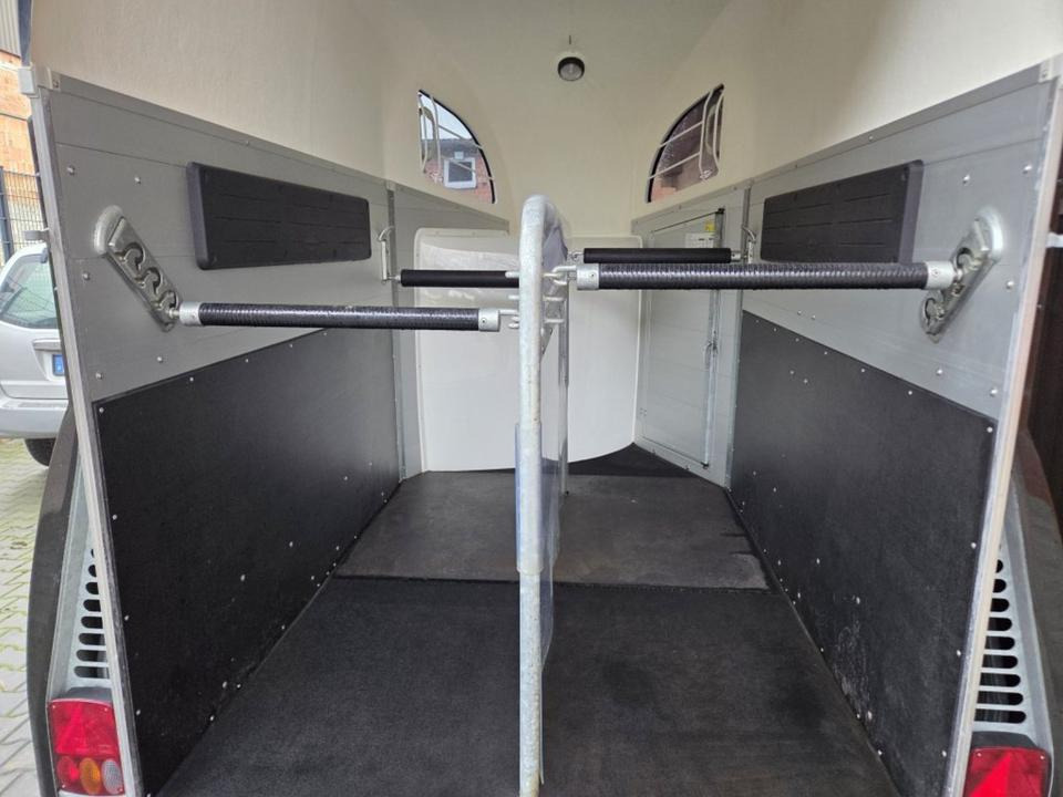 Böckmann Pferdeanhänger Champion R SaKa. WCF-Fahrwerk 100 km/h - Hestetrailer: billede 5 Böckmann Pferdeanhänger Champion R SaKa. WCF-Fahrwerk 100 km/h - Hestetrailer: billede 5